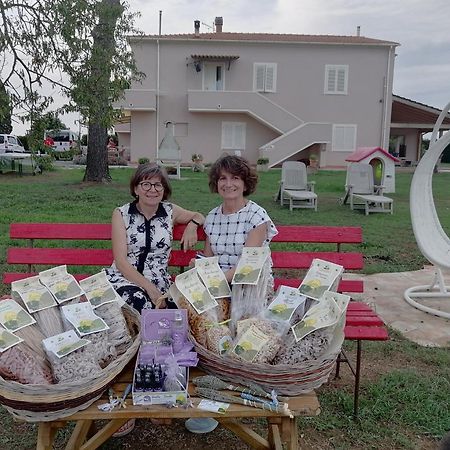 Agriturismo Susanna E Atria Бибона Екстериор снимка