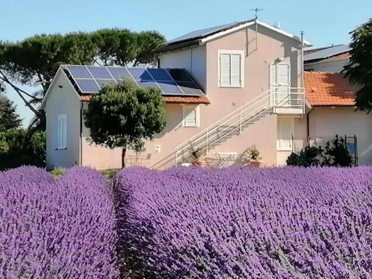 Agriturismo Susanna E Atria Бибона Екстериор снимка