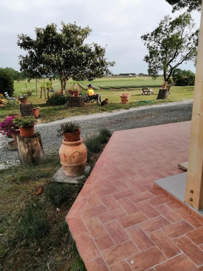 Agriturismo Susanna E Atria Бибона Екстериор снимка