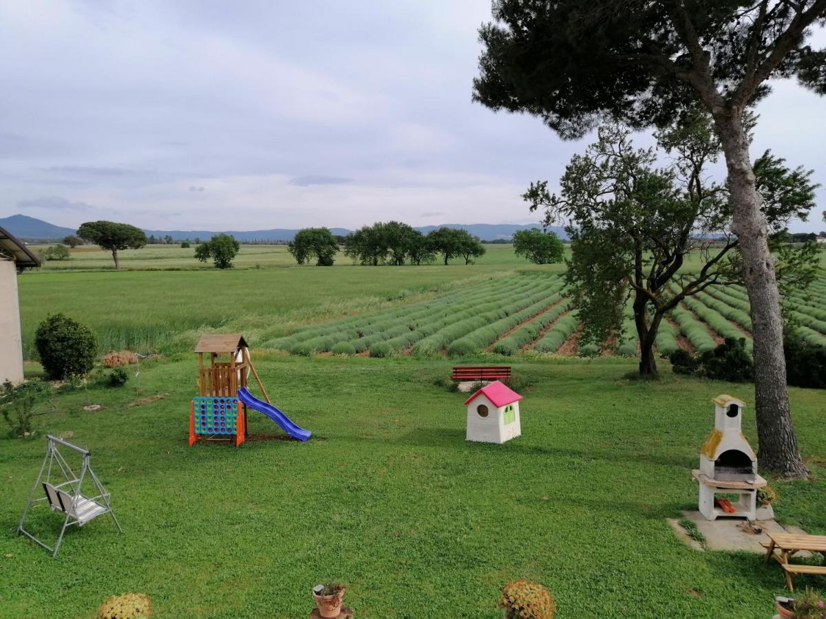 Agriturismo Susanna E Atria Бибона Екстериор снимка