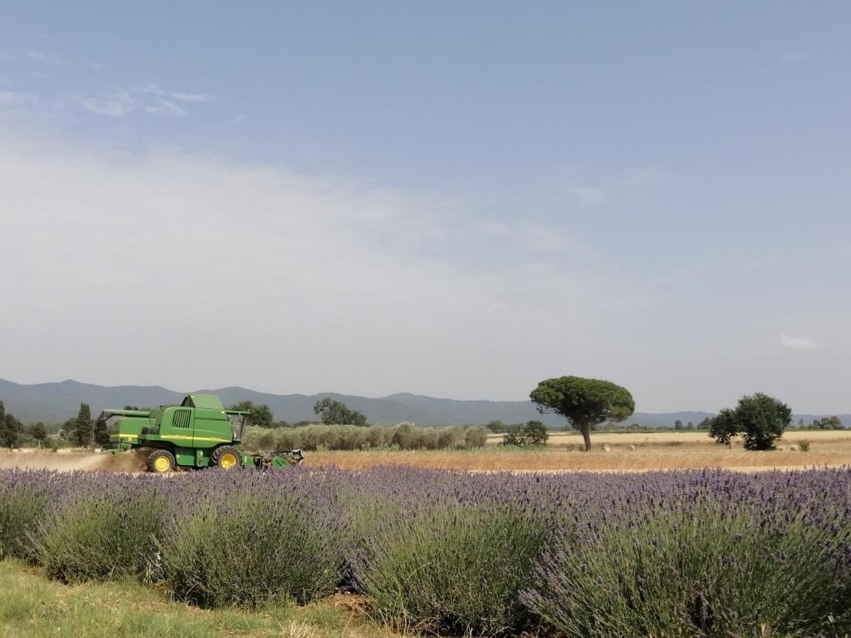 Agriturismo Susanna E Atria Бибона Екстериор снимка