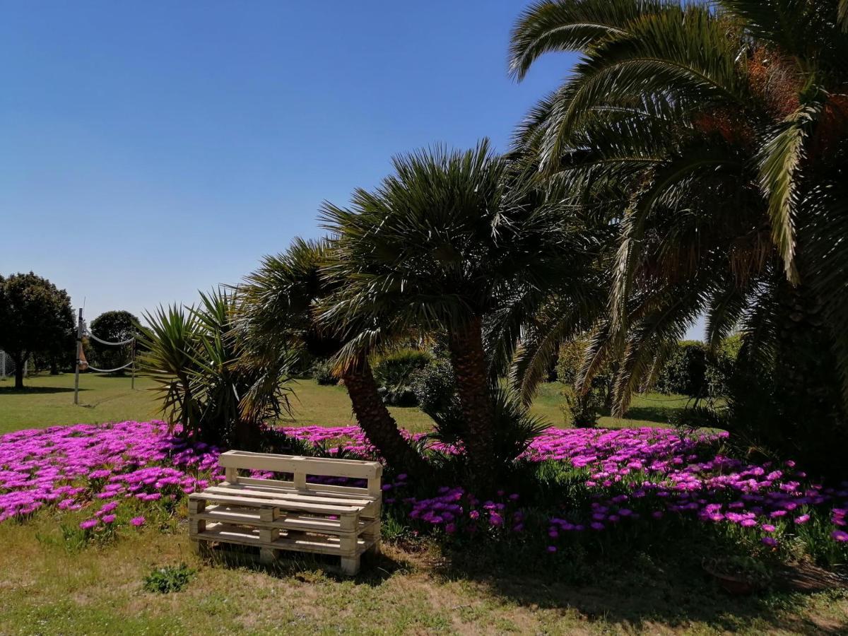 Agriturismo Susanna E Atria Бибона Екстериор снимка